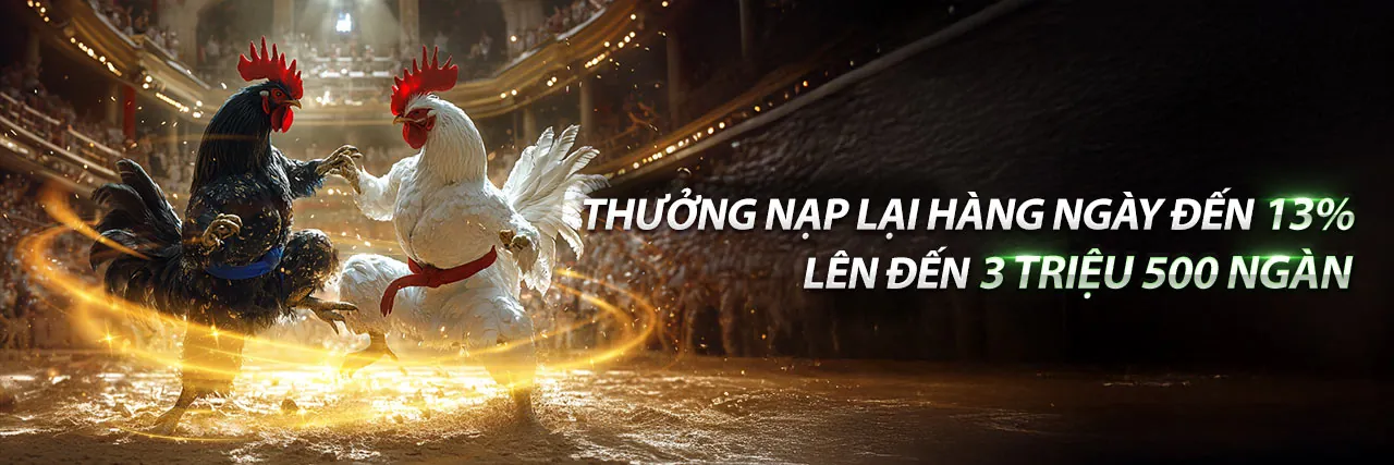 Đá gà cúp Thomo kịch tính